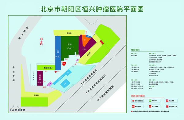 啊啊肏深了北京市朝阳区桓兴肿瘤医院平面图